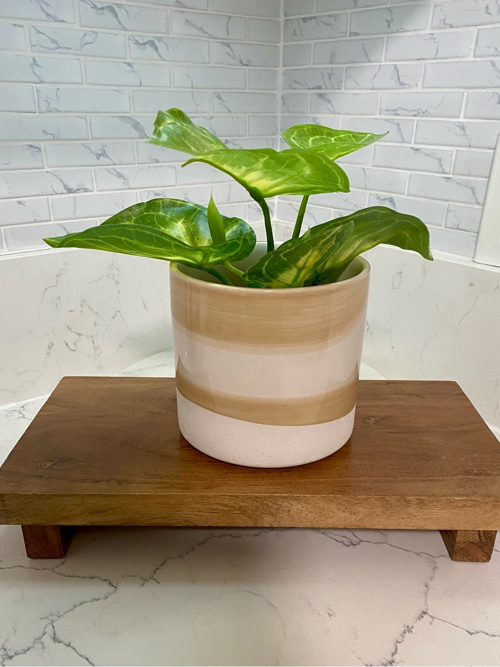 Striped Ceramic Planter Pot in Cream and Tan
